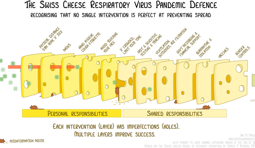 Le fromage suisse comme outil efficace de lutte contre la pandémie